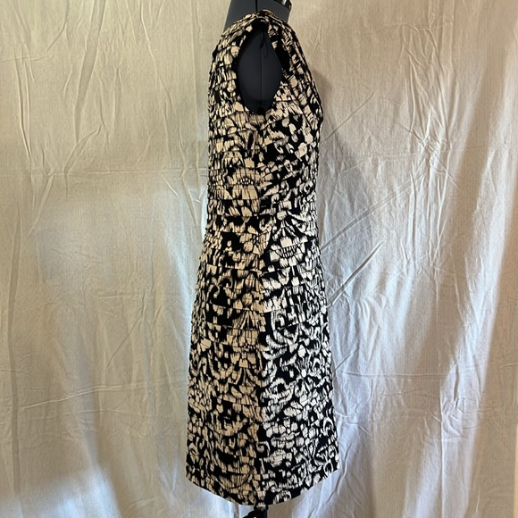 Black and cream Adrianna Papell sheath dress - Picture 4 of 8